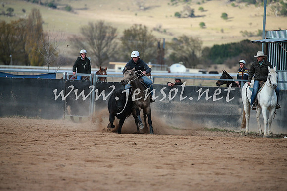 BungendoreCampdraft2016_5071