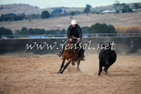 BungendoreCampdraft2016_5010