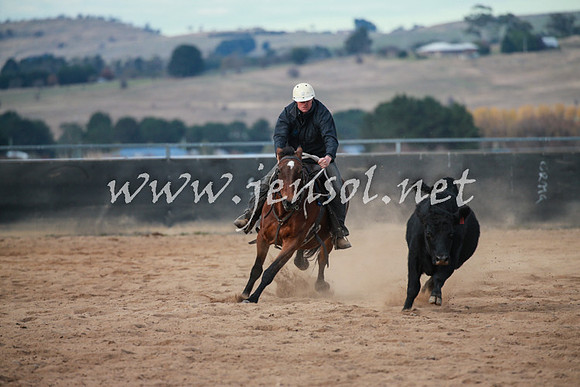 BungendoreCampdraft2016_5010