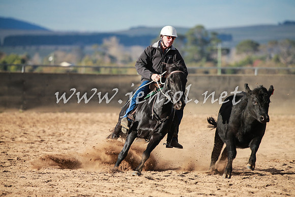 BungendoreCampdraft2016_5103