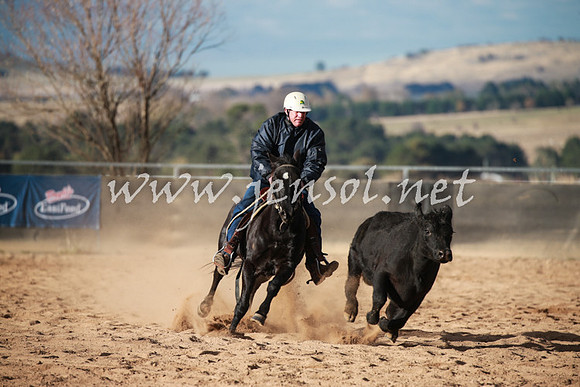 BungendoreCampdraft2016_5108