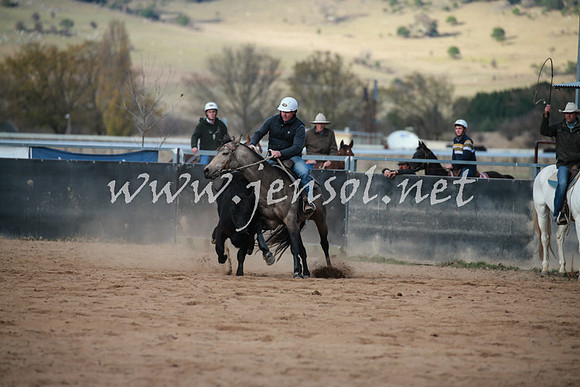 BungendoreCampdraft2016_5080