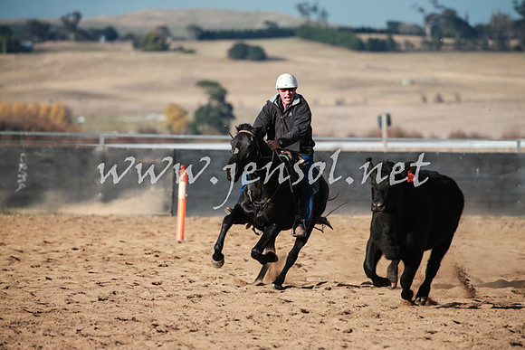 BungendoreCampdraft2016_5097