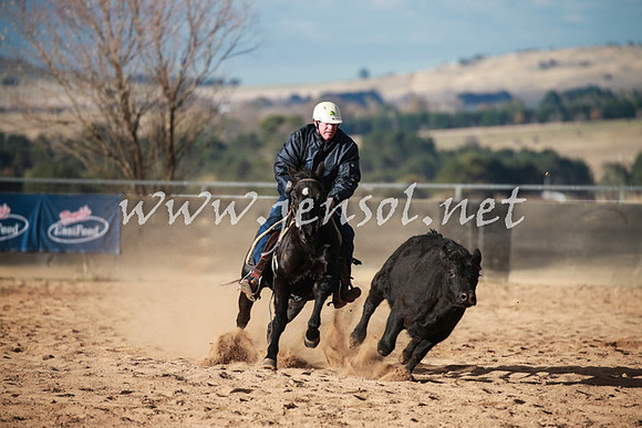 BungendoreCampdraft2016_5109