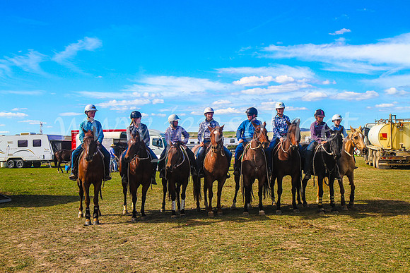 GoulburnCampdraft2017_7380