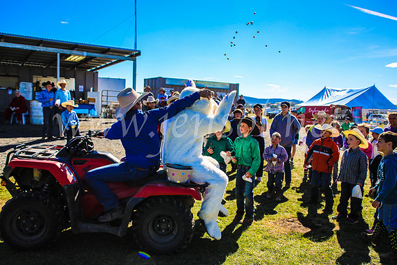 GoulburnCampdraft2017_7473
