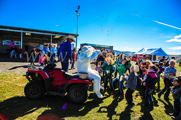 GoulburnCampdraft2017_7480