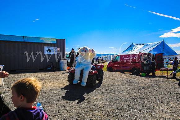 GoulburnCampdraft2017_7490