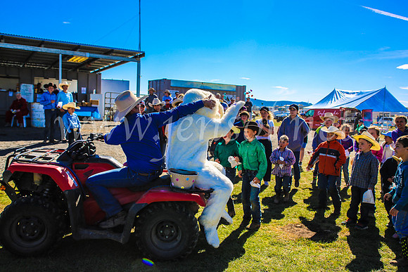 GoulburnCampdraft2017_7472