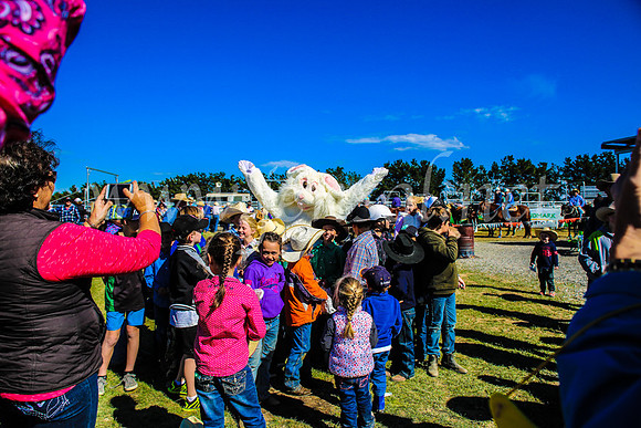 GoulburnCampdraft2017_7487