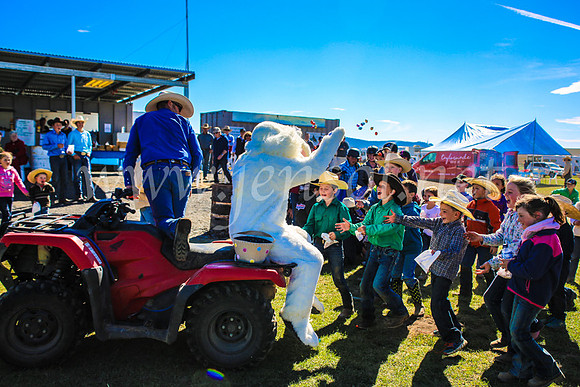 GoulburnCampdraft2017_7474