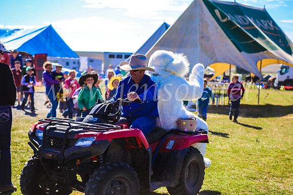 GoulburnCampdraft2017_7467