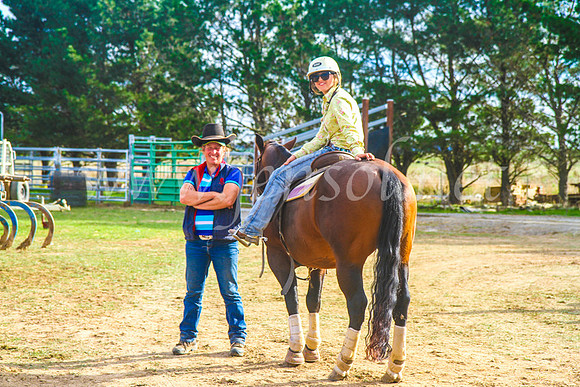 GoulburnCampdraft2017_7396