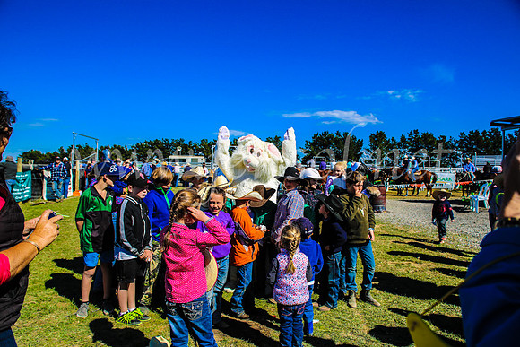 GoulburnCampdraft2017_7488
