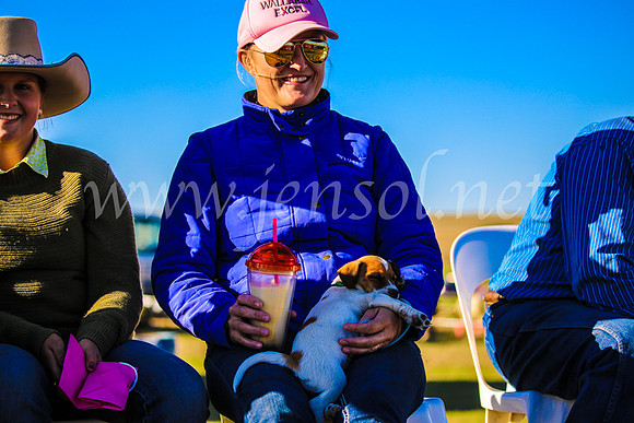 GoulburnCampdraft2017_7514