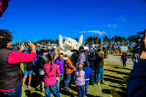 GoulburnCampdraft2017_7486