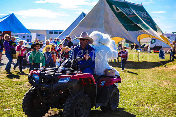 GoulburnCampdraft2017_7471