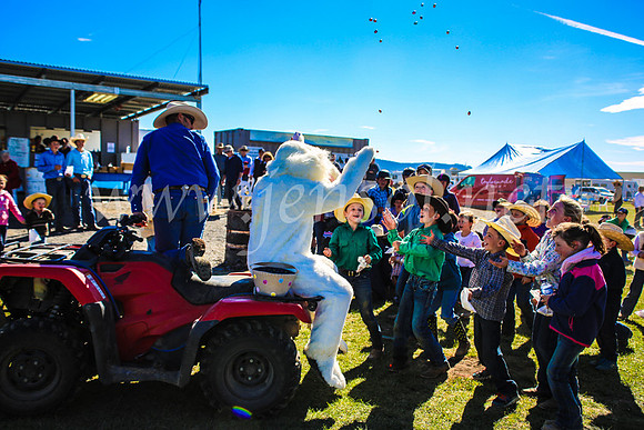 GoulburnCampdraft2017_7476
