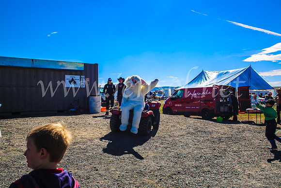 GoulburnCampdraft2017_7491