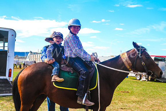 GoulburnCampdraft2017_7393