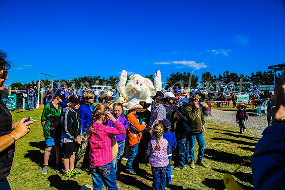 GoulburnCampdraft2017_7489