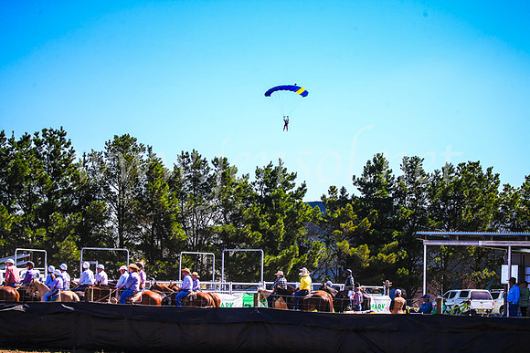 GoulburnCampdraft2017_3203