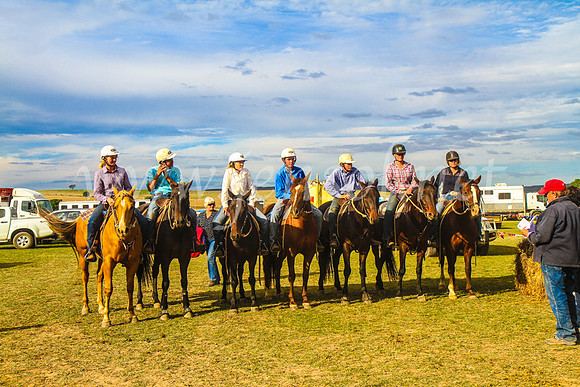 GoulburnCampdraft2017_7394