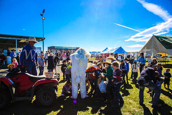 GoulburnCampdraft2017_7483