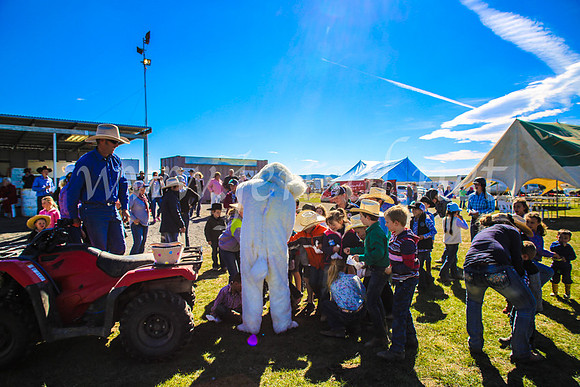 GoulburnCampdraft2017_7482