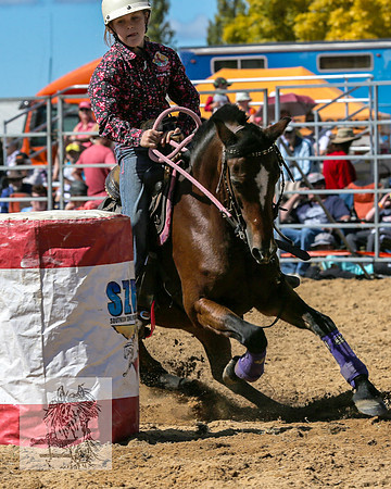 BraidwoodRodeo2015_1269