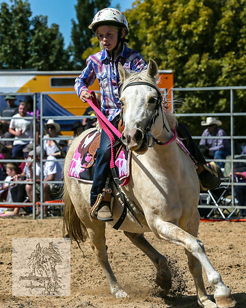 BraidwoodRodeo2015_1273