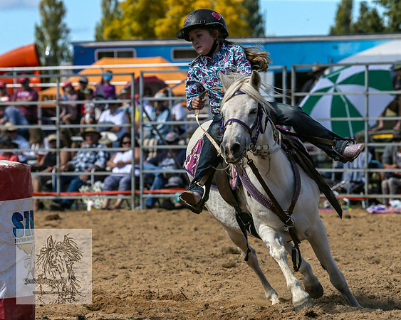 BraidwoodRodeo2015_1235
