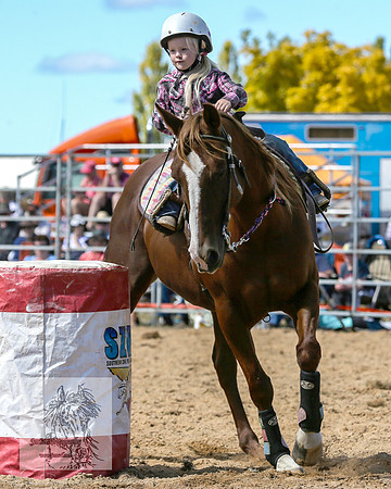 BraidwoodRodeo2015_1207