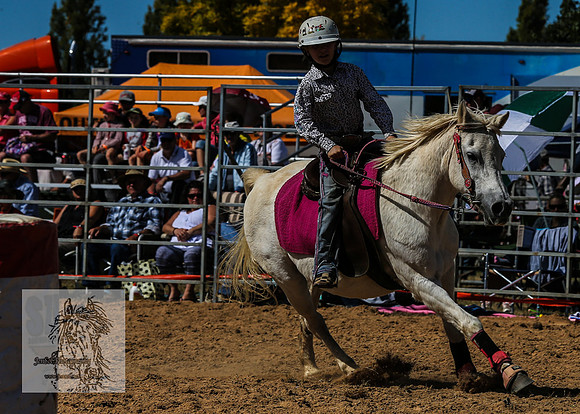 BraidwoodRodeo2015_1076
