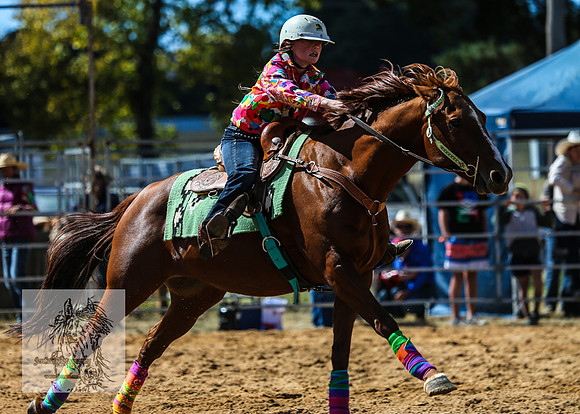 BraidwoodRodeo2015_1041