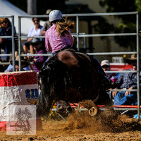 BraidwoodRodeo2015_0683