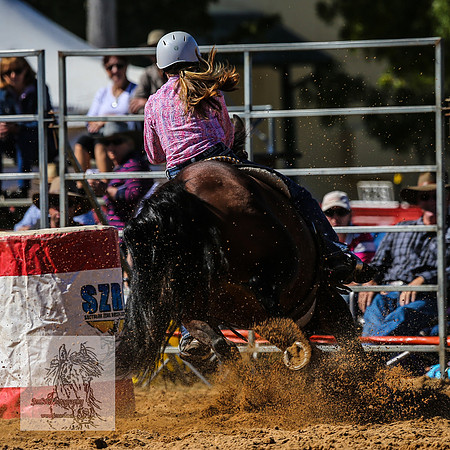 BraidwoodRodeo2015_0683