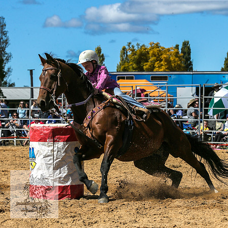 BraidwoodRodeo2015_1297