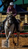 BraidwoodRodeo2015_0914