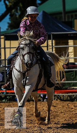 BraidwoodRodeo2015_0914