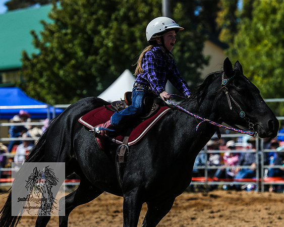BraidwoodRodeo2015_1256