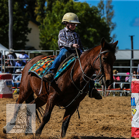 BraidwoodRodeo2015_1127
