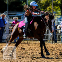 BraidwoodRodeo2015_0459