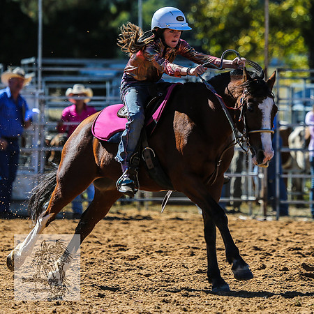 BraidwoodRodeo2015_0459