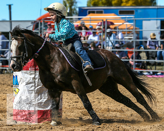 BraidwoodRodeo2015_1215