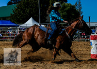 BraidwoodRodeo2015_0776