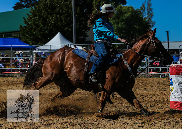 BraidwoodRodeo2015_0776