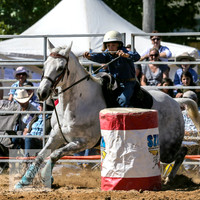 BraidwoodRodeo2015_0983