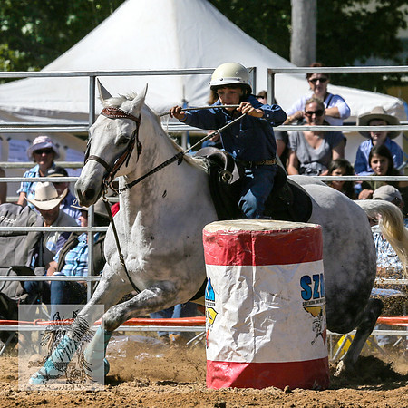 BraidwoodRodeo2015_0983