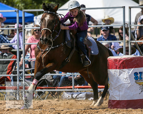 BraidwoodRodeo2015_1242